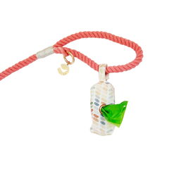 Spiced Coral Rope Dog Leash-2