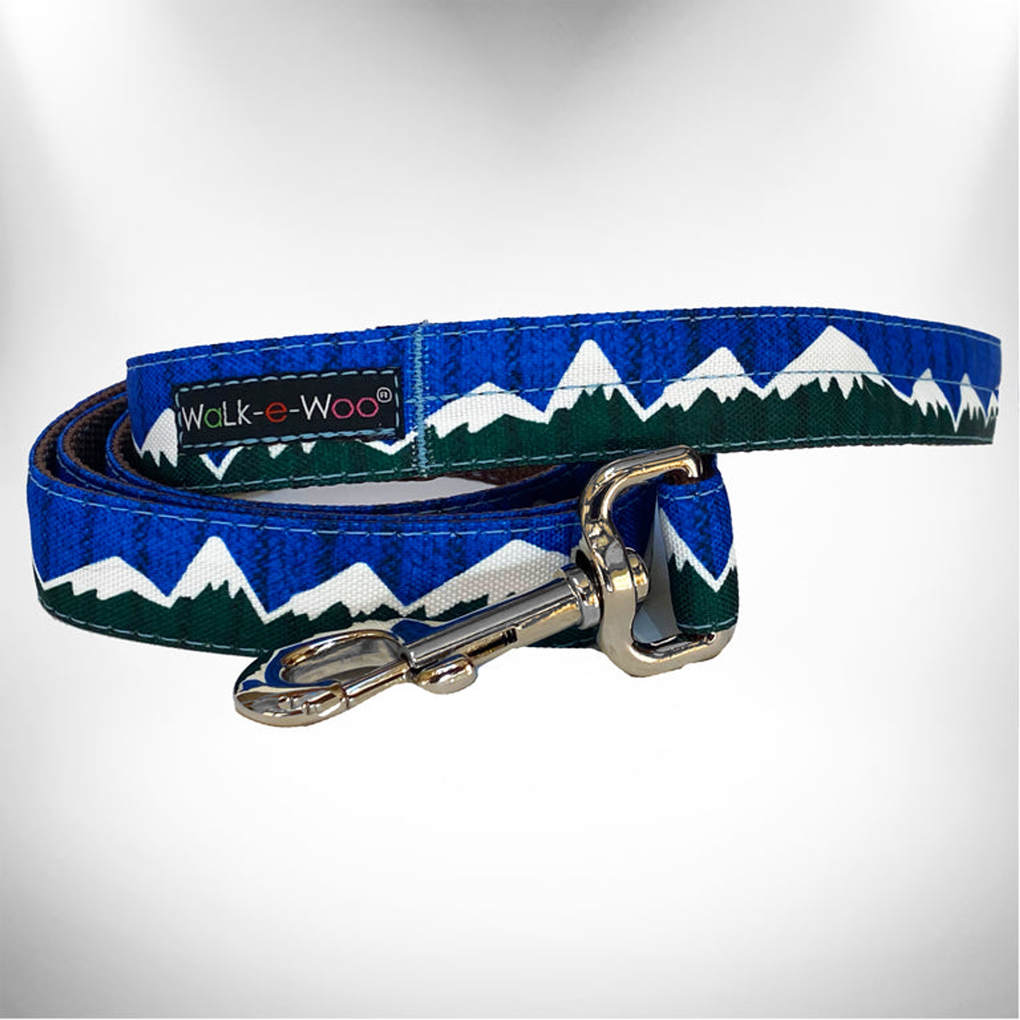 Snowcap Mountain Dog Leash REGULAR 1" width- 5' long Blue/Green