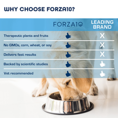 Forza10 Legend Skin Grain-Free Dry Dog Food 15-lb bag-3