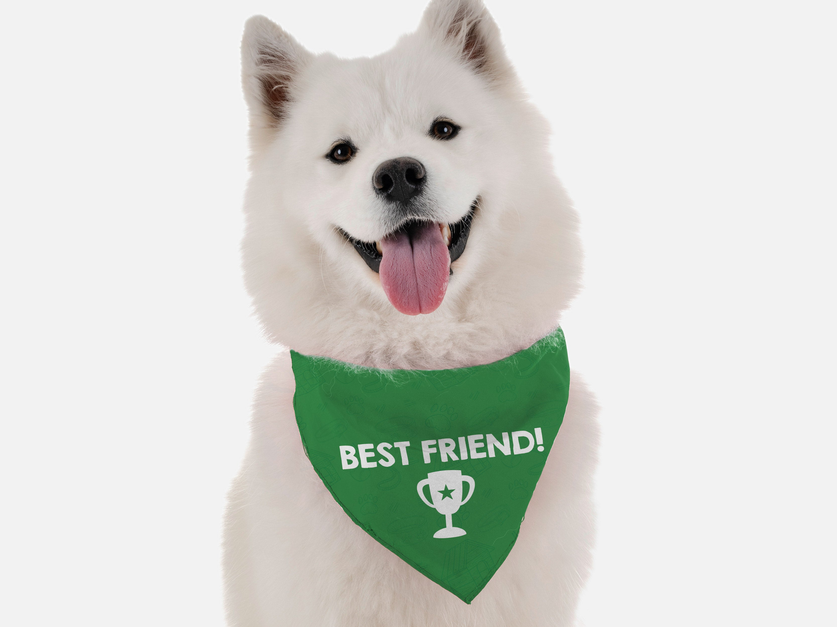 Best Friend 18" x 18"