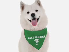 Best Friend 18" x 18"