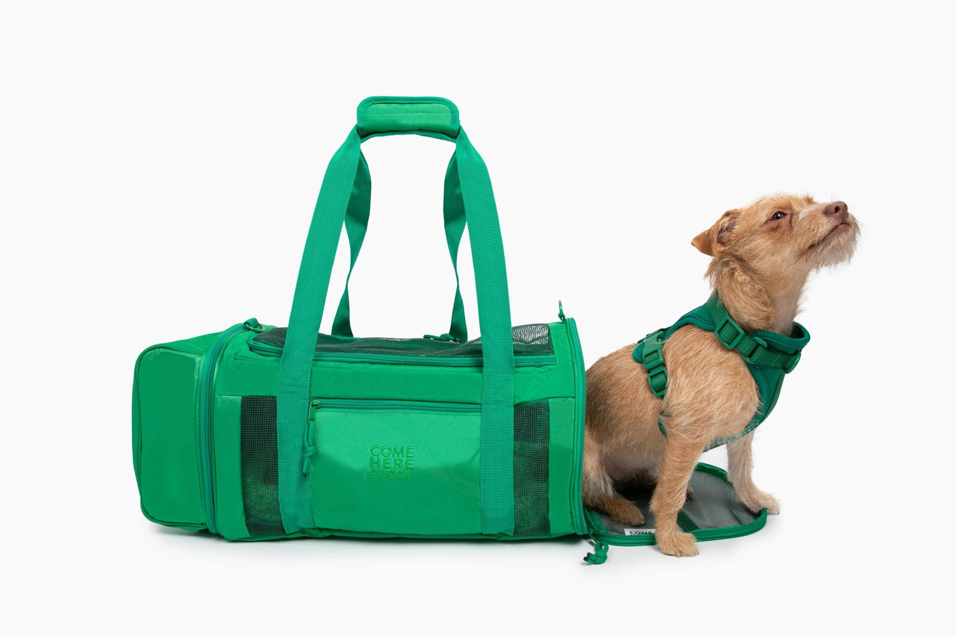 Travel Buddy - Pet Carrier Green