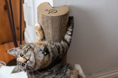 Kitty Corner Cat Scratching Post (2 pieces)-2