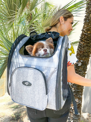 The Backpacker Pet Carrier Glacier-2