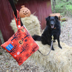 Halloween Yucky Puppy Poop Bag Carriers-2