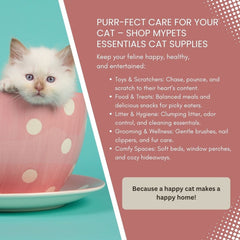 Bergan Turbo Cat Teaser Toy-3