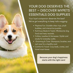 Nylabone Pro Action Dental Chew Toy Large-2