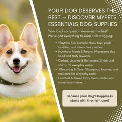 Dogtra Pathfinder2 Extra Receiver Collar Black-2