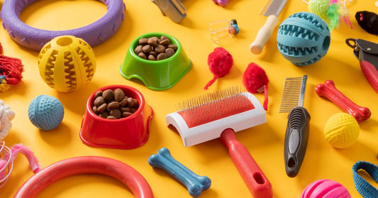 Top 10 Must-Have Dog Supplies for Every Pet Parent