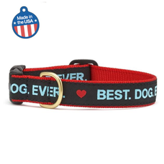 Best Dog Ever Collar or Leash Large Best Dog Ever