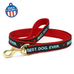 Best Dog Ever Collar or Leash Large Best Dog Ever-2