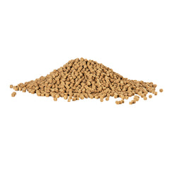 Aqueon Bottom Feeder Fish Shrimp Pellets 6.5 ounces-2
