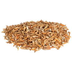 Aqueon Monster Fish Medley Food 3.5 ounces-2