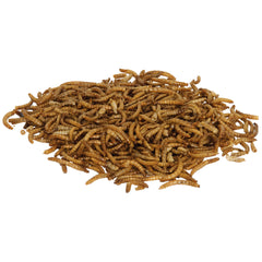 Aqueon Monster Fish Medley Food 3.5 ounces-3