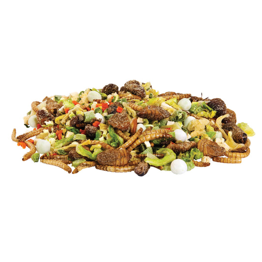 Zilla Reptile Munchies Omnivore 4 ounces