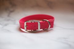 Biothane Buckle Dog Collar Large 15-17 inches Red-2