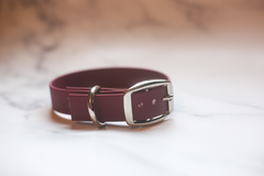 Biothane Buckle Dog Collar Large 15-17 inches Lavender