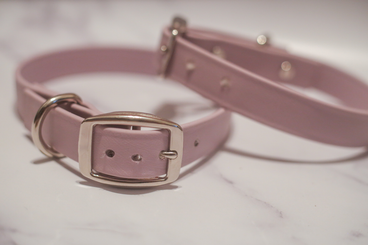 Biothane Buckle Dog Collar Large/XL 16-18 inches Pink