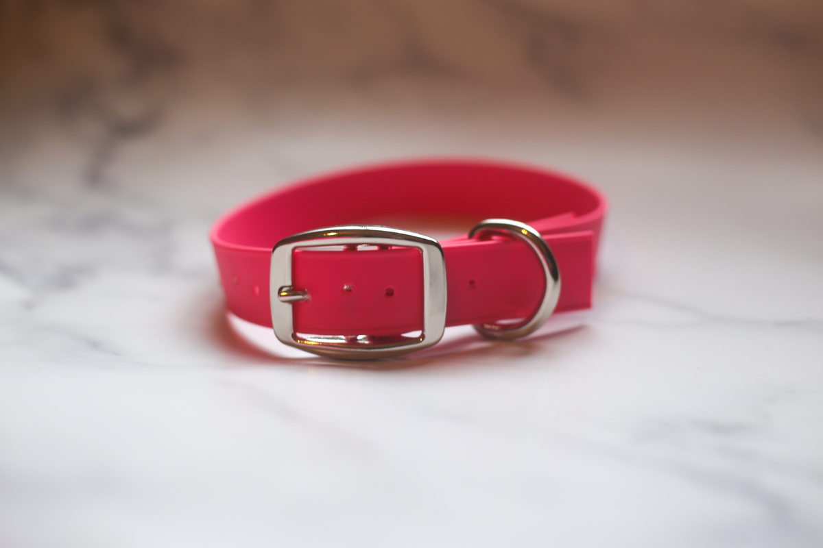 Biothane Buckle Dog Collar Large/XL 16-18 inches Red