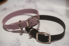 Biothane Buckle Dog Collar Large/XL 16-18 inches Lavender