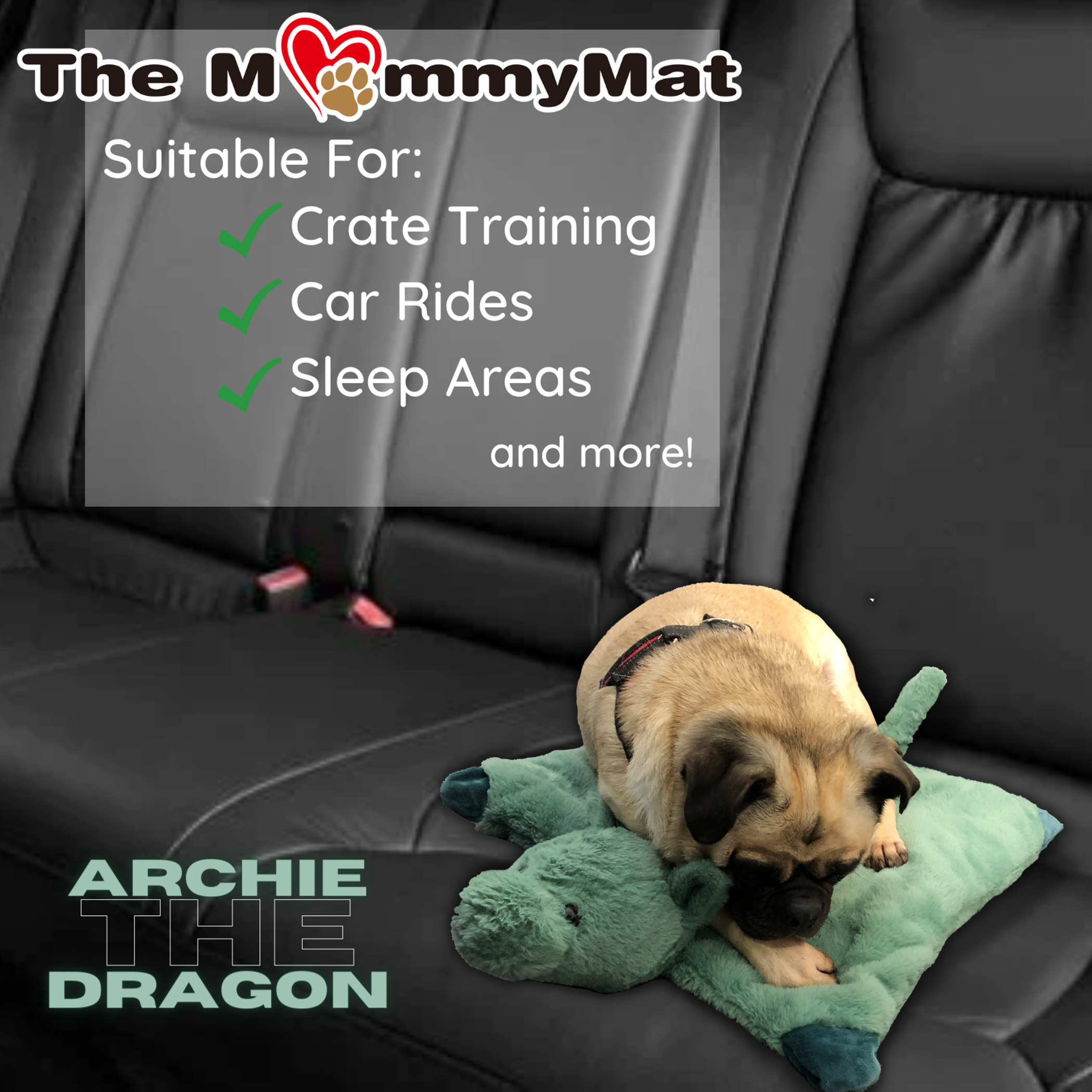 The MommyMat - Heartbeat Anxiety Pet Bed Mat 18 x 18 in Archie the Dragon-8