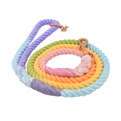 Rope Leash pinata