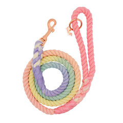 Rope Leash rainbow bright