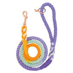 Rope Leash sunset-2