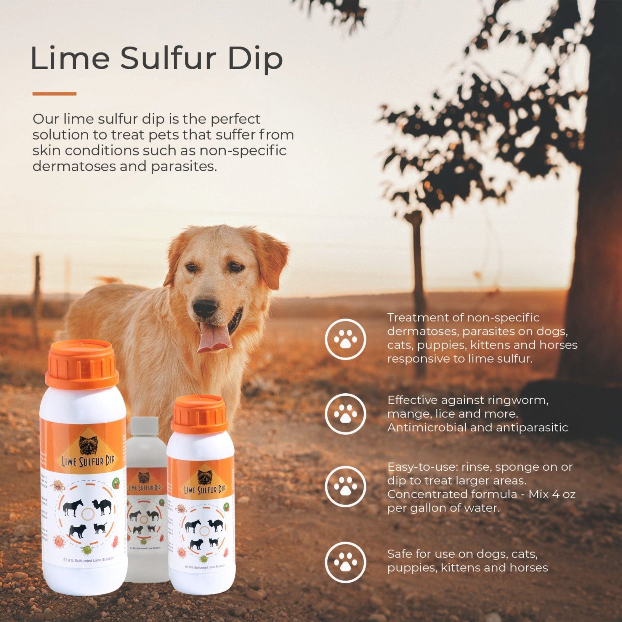 Lime Sulfur Dip - Pet and Veterinary Solution for Dermatitis, Mange, Ringworm and other Parasites 16 fl oz-4
