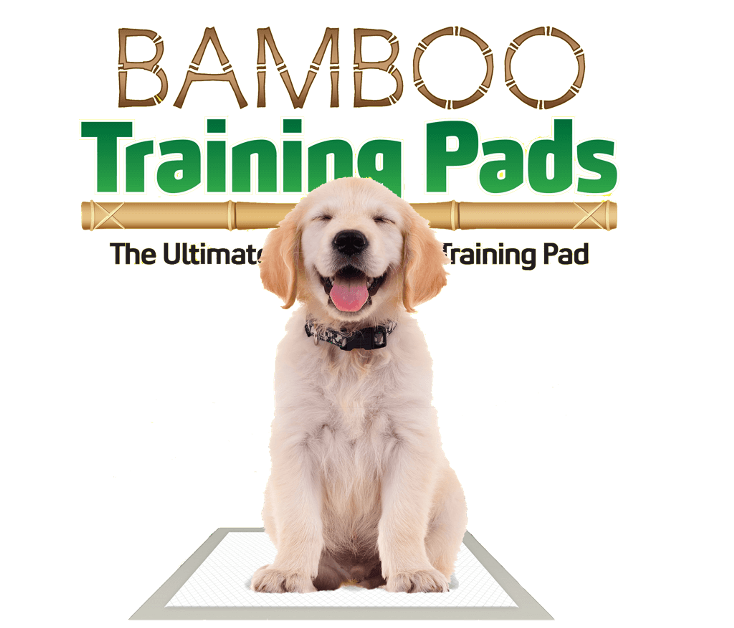 Bamboo Training Pads 50 count - 5 SAP