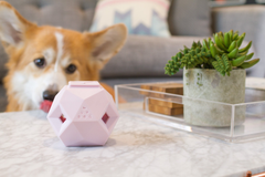 The Odin - Modern Treat Dispensing Dog Puzzle Light Grey-2