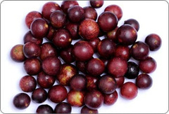 All Shins & Grins Capsules - Antioxidant Super Food Bone, Eye, Teeth & Skin Support Dog & Cat DOG/ 150 caps / 500 mg.-3