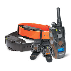 Dogtra 3/4 Mile 2 Dog Remote Trainer with Handsfree Boost and Lock Unit