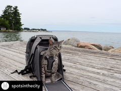 Mr. Peanut's Tahoe Series Expandable Backpack Pet Carrier-4