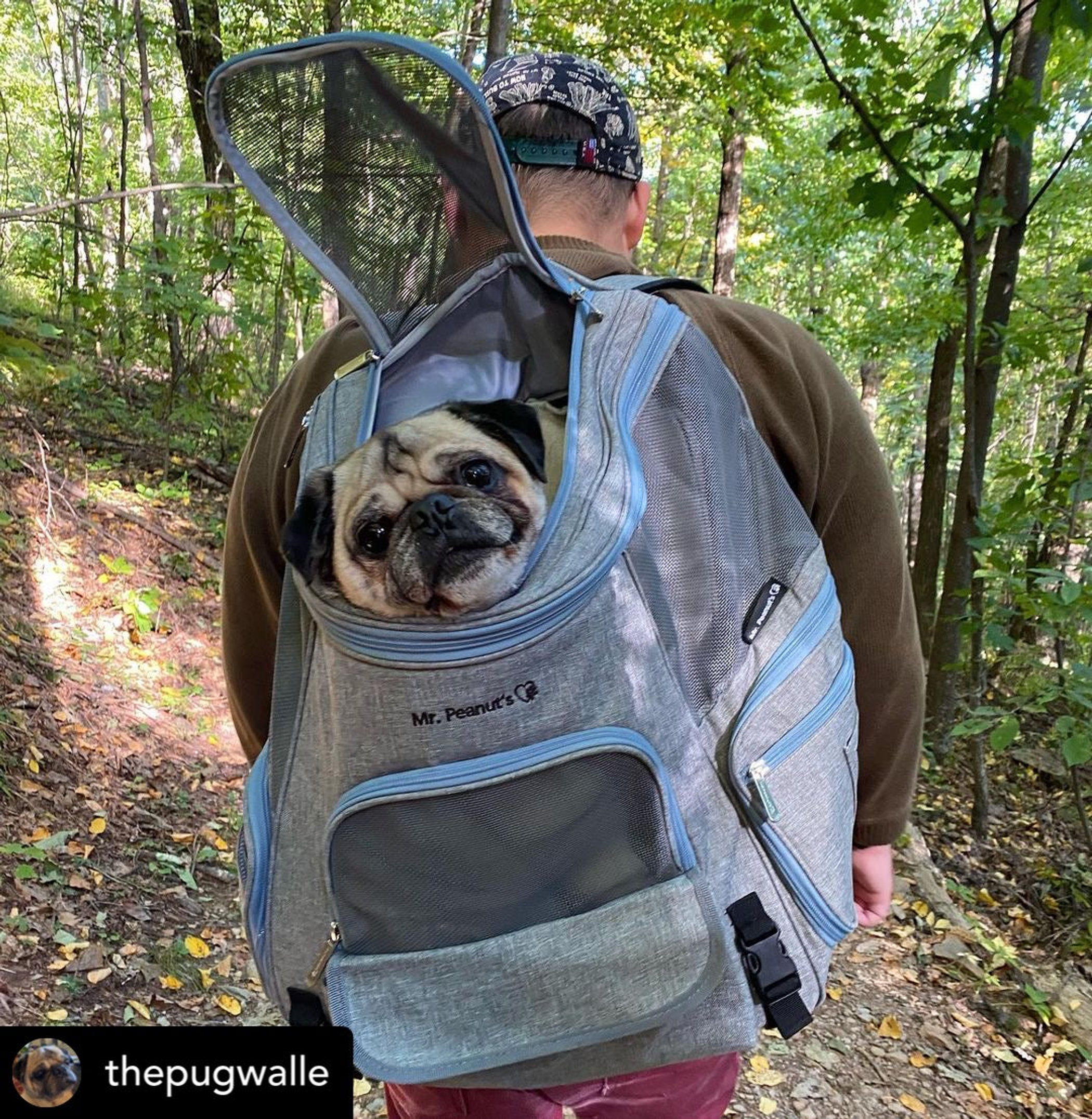 Mr. Peanut's Tahoe Series Expandable Backpack Pet Carrier-6