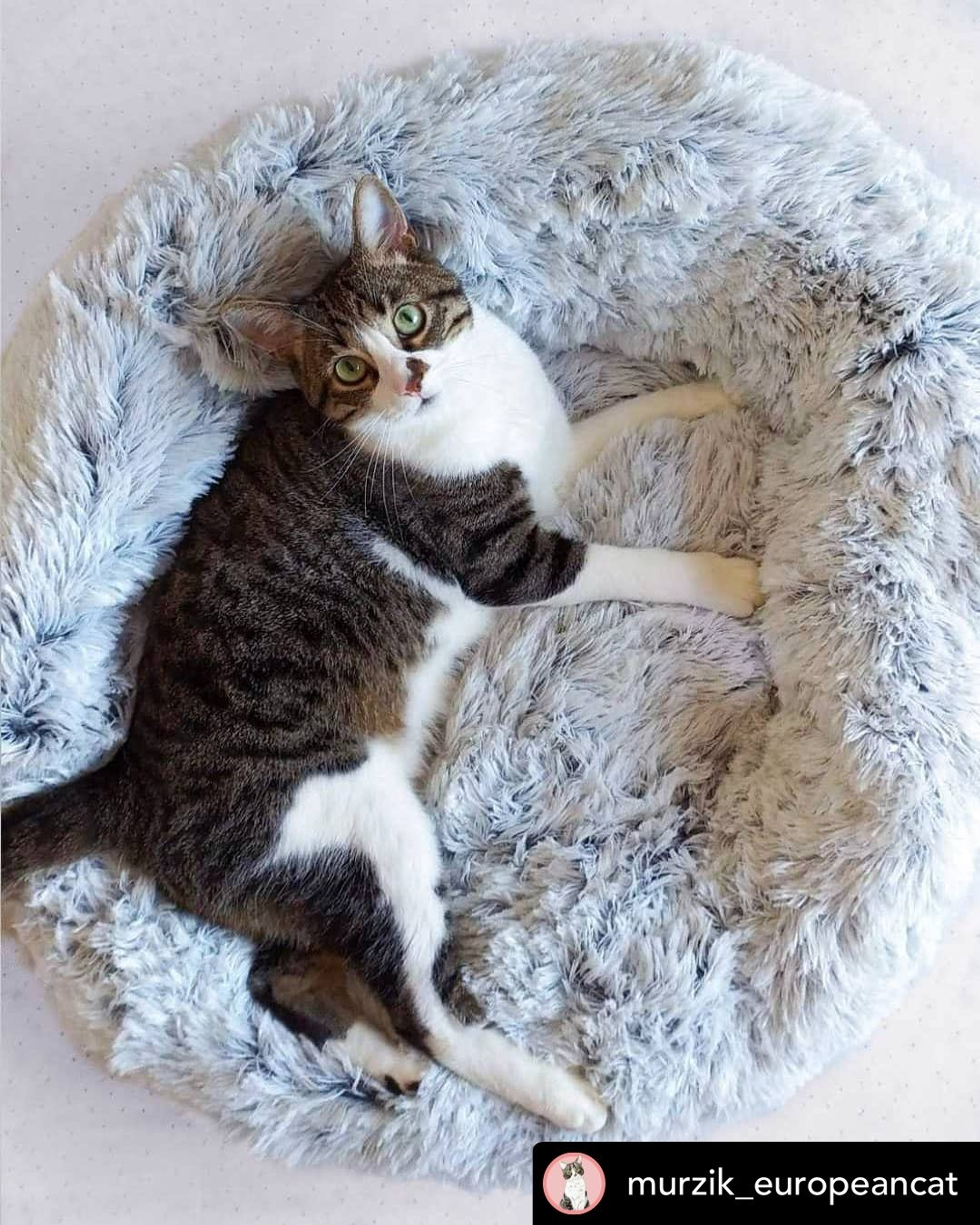 Mr. Peanut's OrthoPlush Pet Bed 28 in Snowflake White Two Tone-6