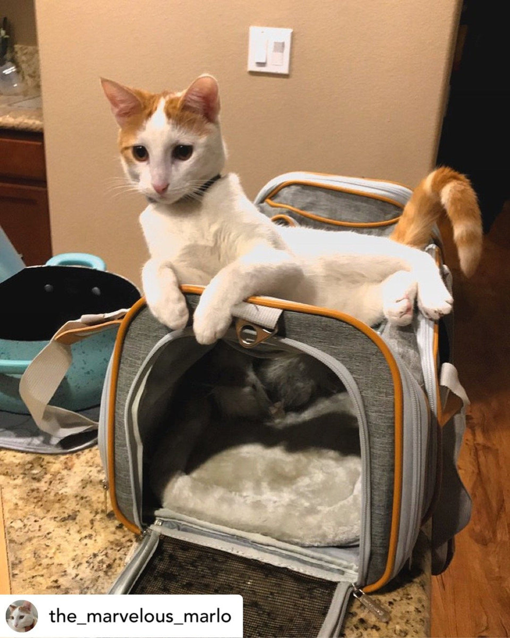 Mr. Peanut's Platinum Series Pet Carrier 18inLx10.5inWx11inH Twilight Gray-8