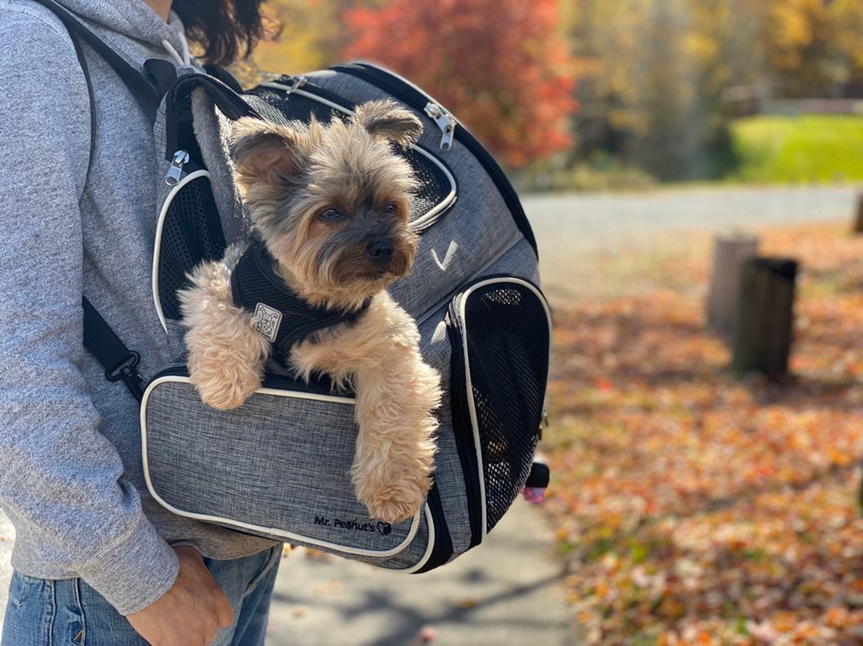 Mr. Peanut's Malibu Series Backpack Pet Carrier Stroller With Detachable Wheelbase-2