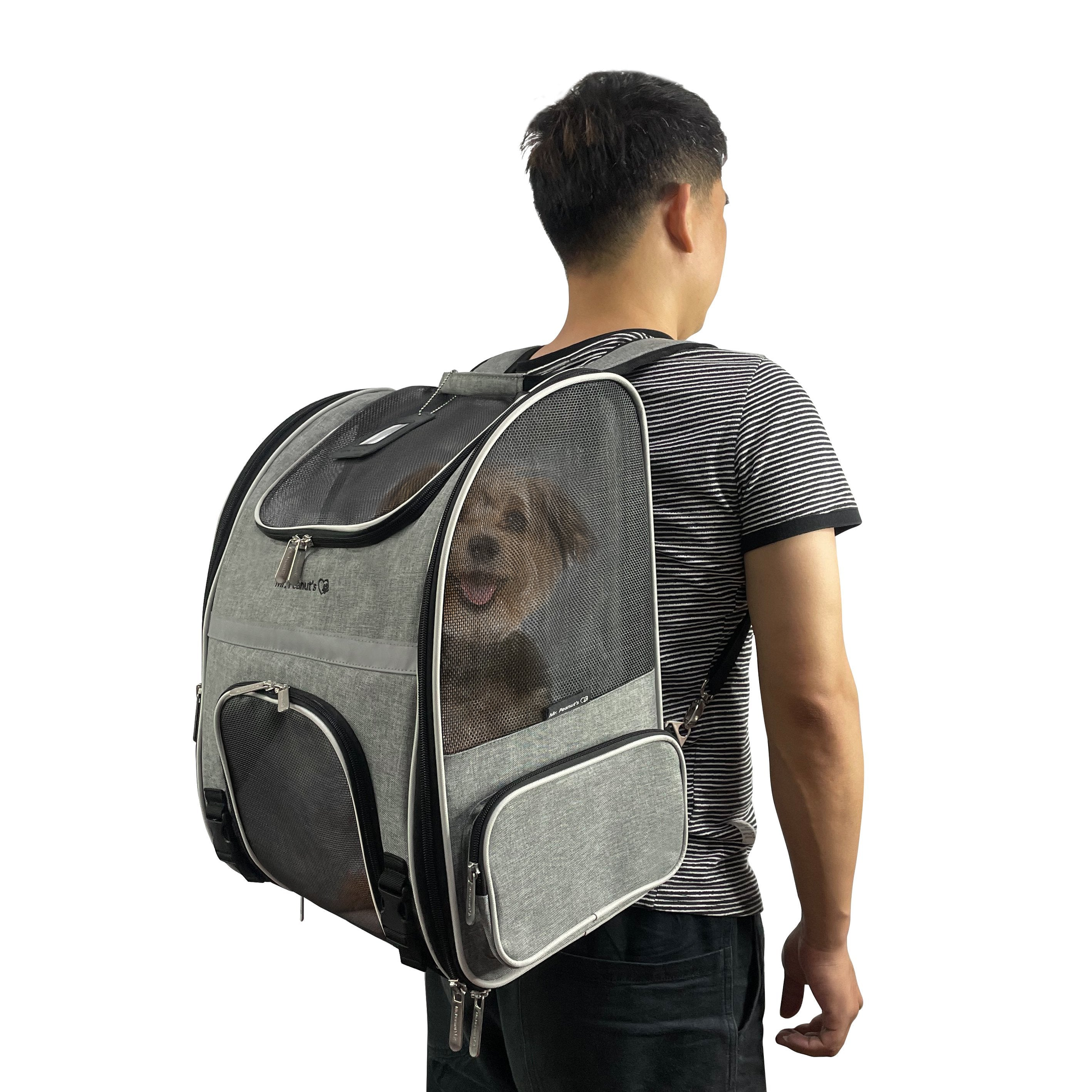 Mr. Peanut's Malibu Series Backpack Pet Carrier Stroller With Detachable Wheelbase-7