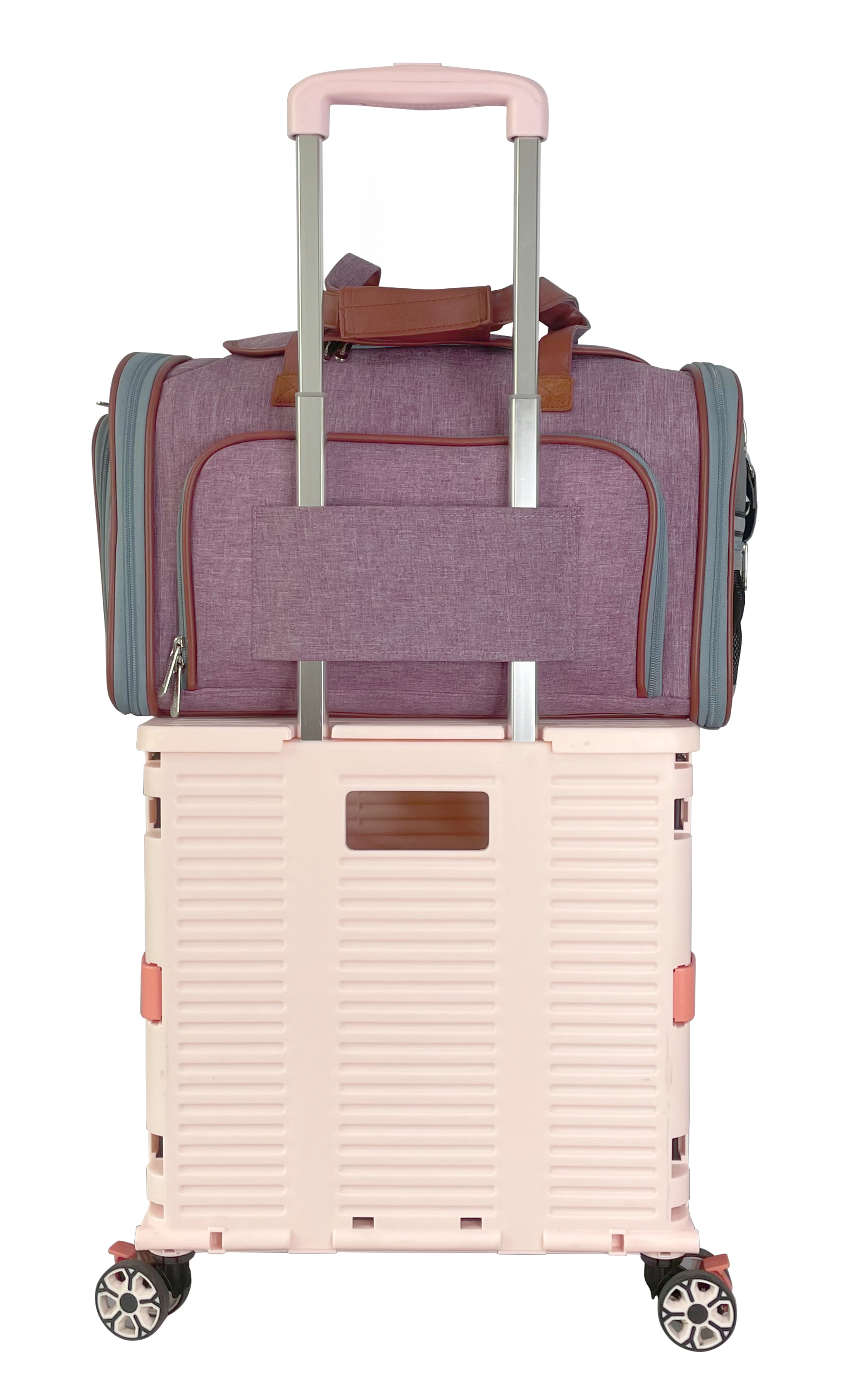 Mr. Peanut's Gold Series Standard Size Expandable Pet Carrier 18 in L x 10.5 in W x 11 in H Purple-3