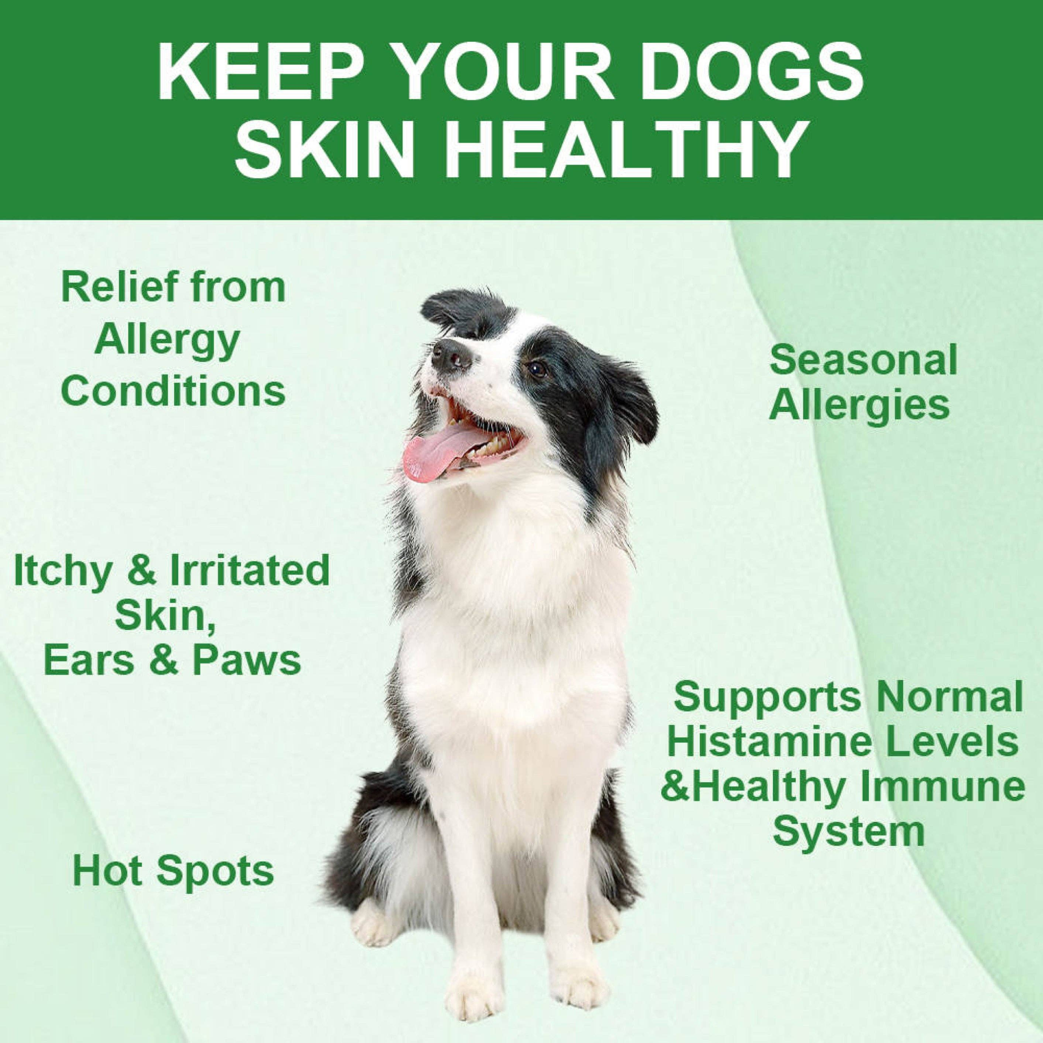 Allergy Chews by Puppy Community-3