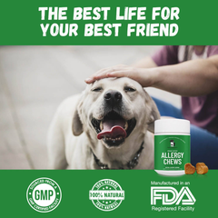Allergy Chews by Puppy Community-4