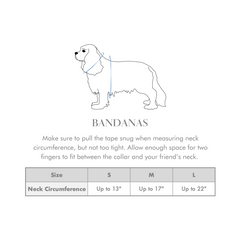 Arctic Sky Dog Bandana S-2