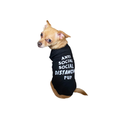 Anti Social Social Distancing Pup Medium Black