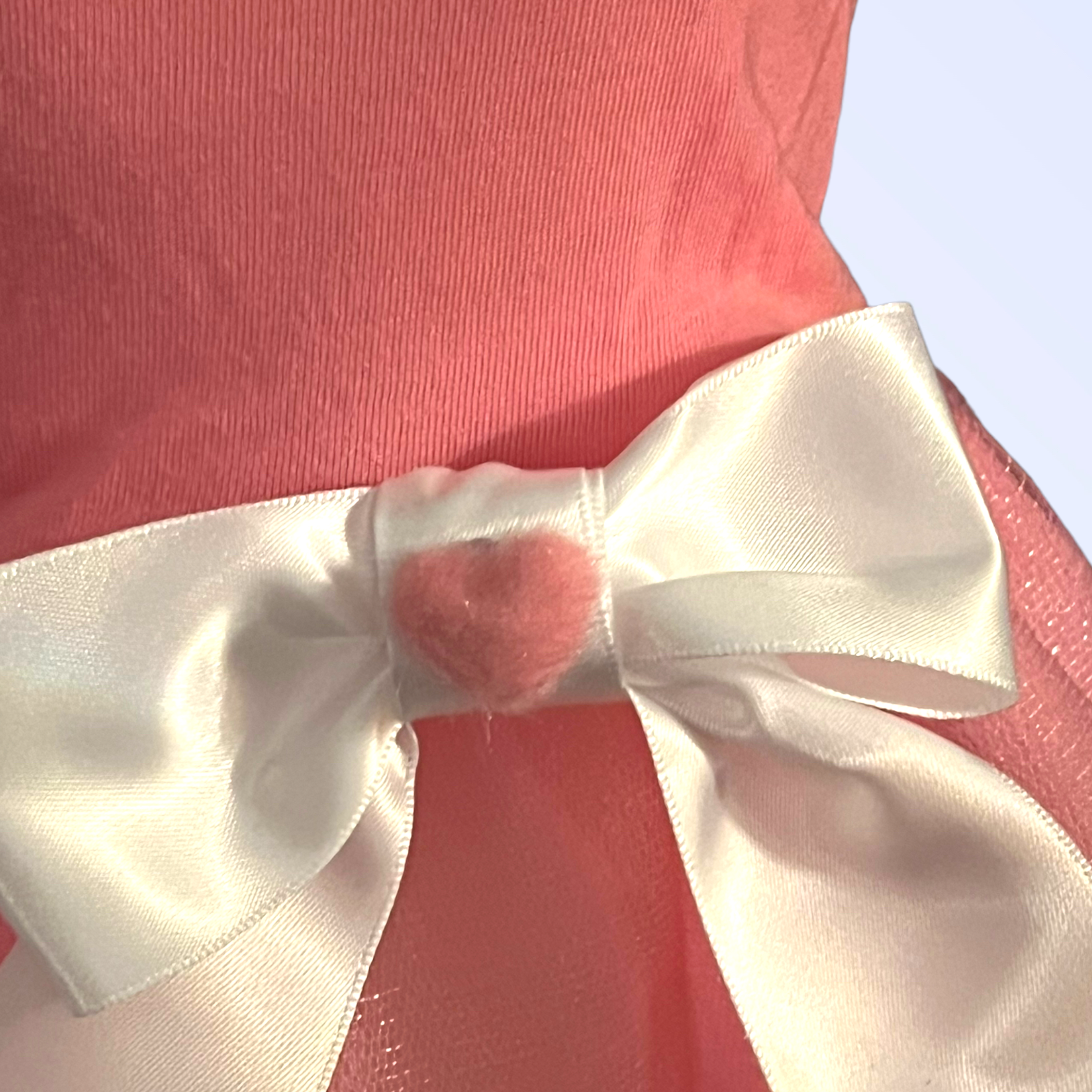 Bee Mine Valentine Dog Dress X Small-4