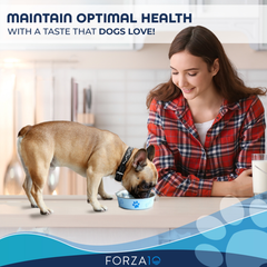 Forza10 Active Depura Fish Diet Dry Dog Food 6-lb bag-2