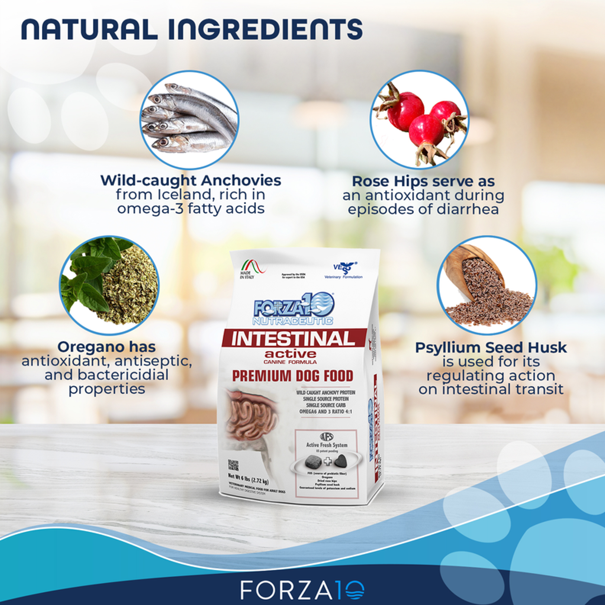 Forza10 Active Intestinal Support Diet Dry Dog Food 6-lb bag-3