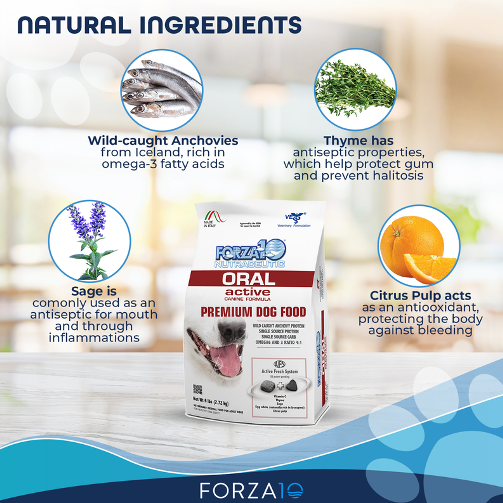Forza10 Active Oral Support Diet Dry Dog Food 6-lb bag-3