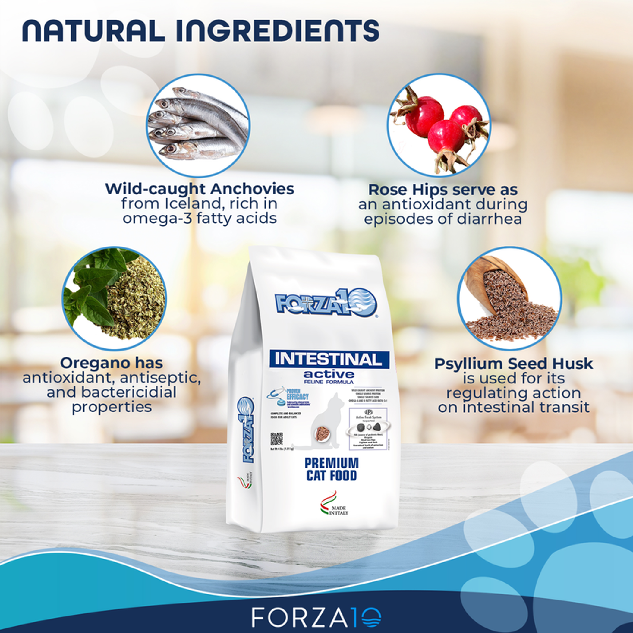 Forza10 Active Intestinal Support Diet Dry Cat Food-3