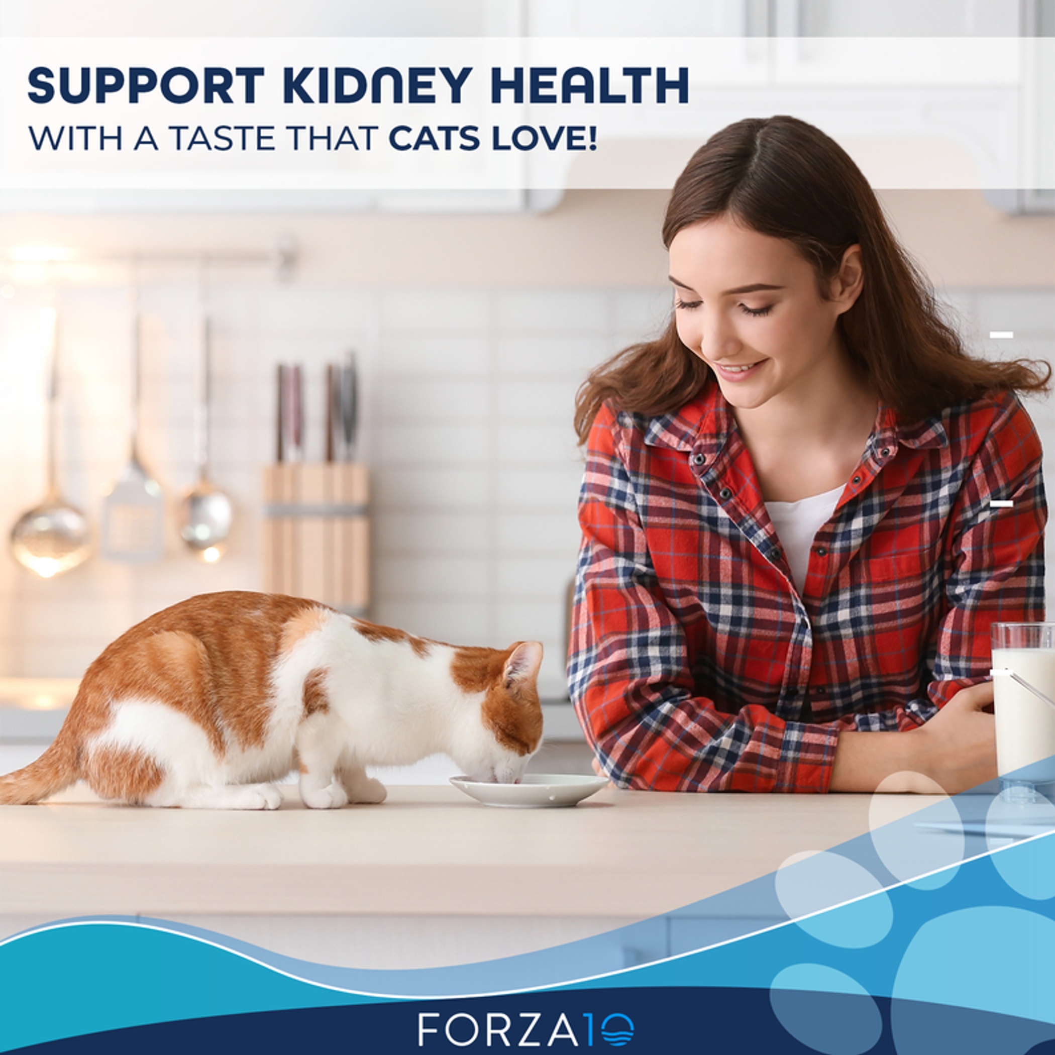 Forza10 Active Kidney Renal Support Diet Dry Cat Food 4-lb bag-2